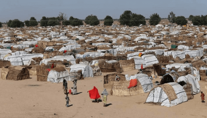 Conflict Dynamics Among Internally Displaced Persons and Host Community in Jere LGA Jul. 2023