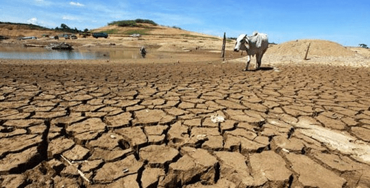 Smallholder Farmer Practices to Counter Flooding and Drought in NE Nigeria Aug. 2023